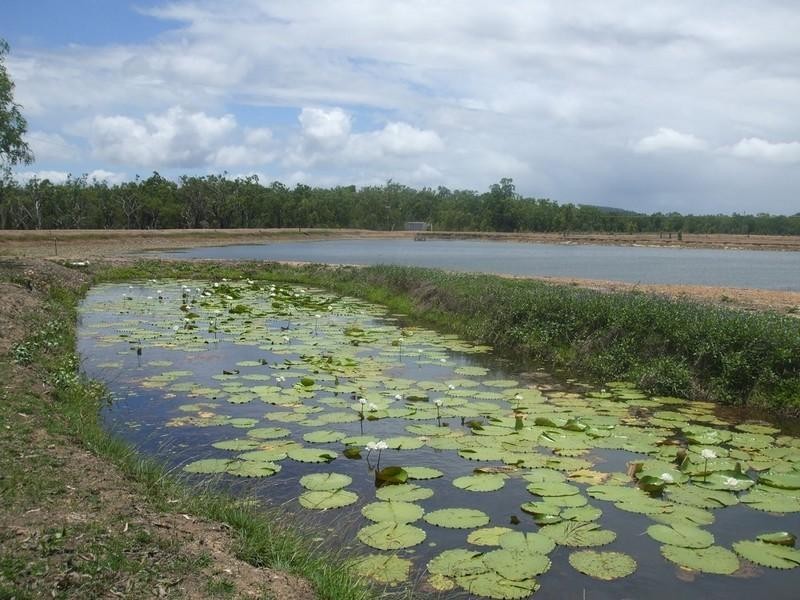 Lakeland QLD 4871