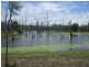 Lakeland QLD 4871