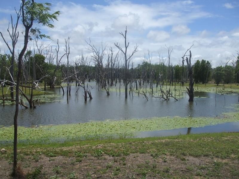 Lakeland QLD 4871
