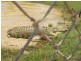 Lakeland QLD 4871