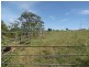 Yungaburra QLD 4884