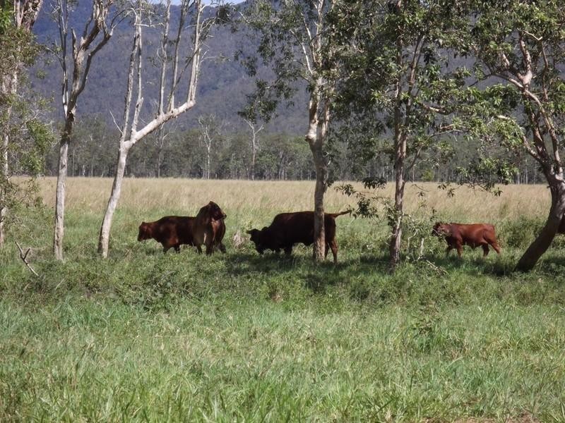 Atherton QLD 4883