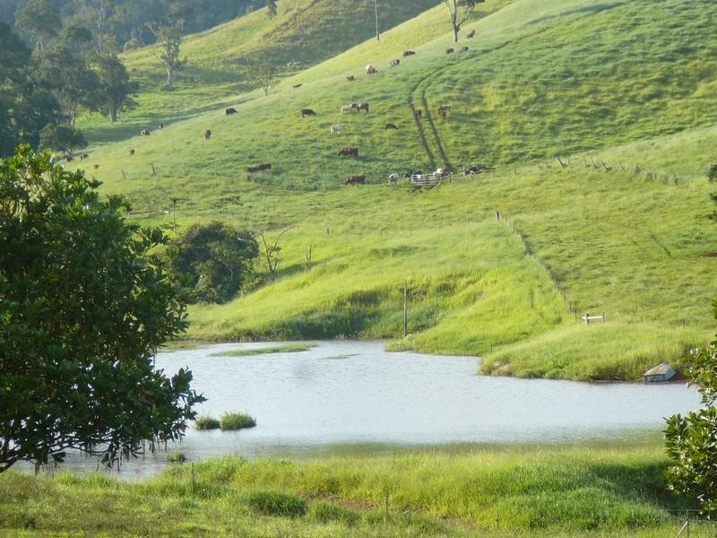 Upper Barron QLD 4883