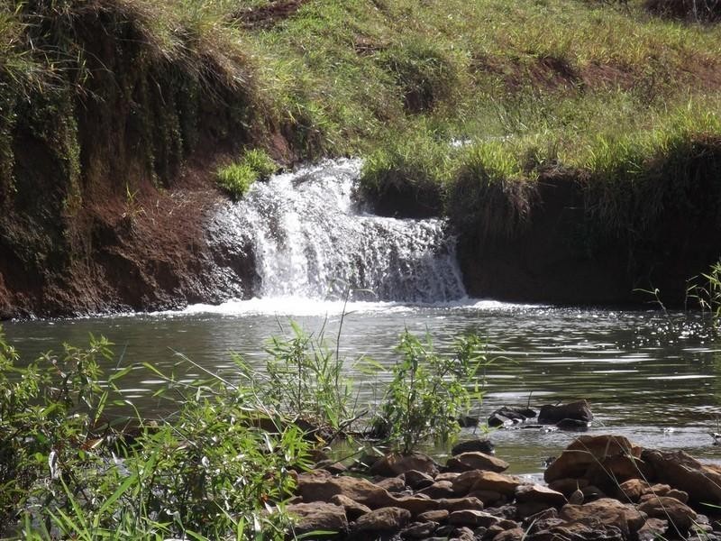 Upper Barron QLD 4883