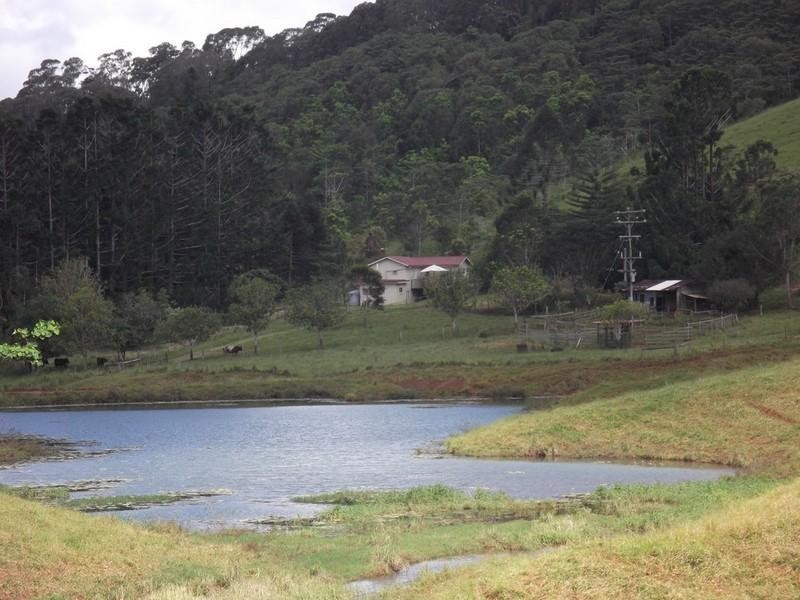 Upper Barron QLD 4883