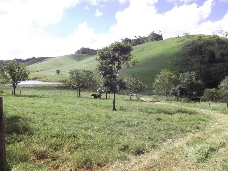 Upper Barron QLD 4883