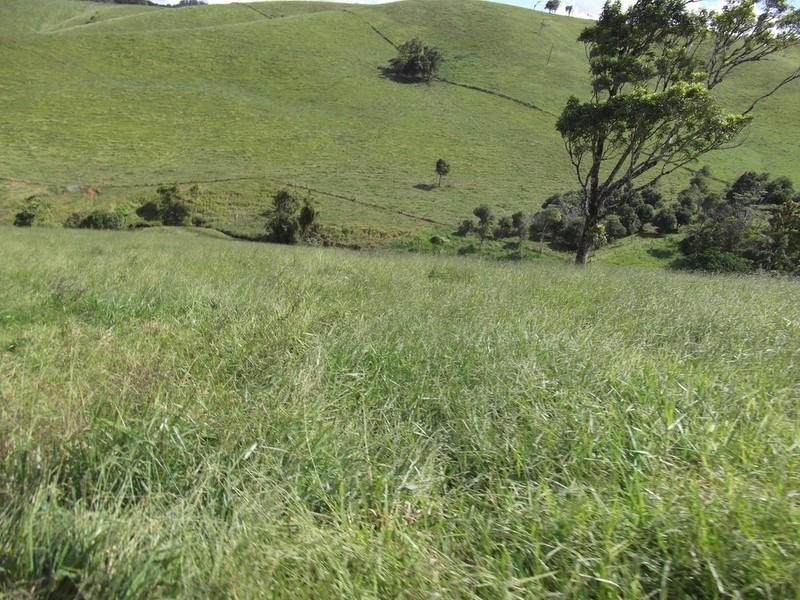 Upper Barron QLD 4883