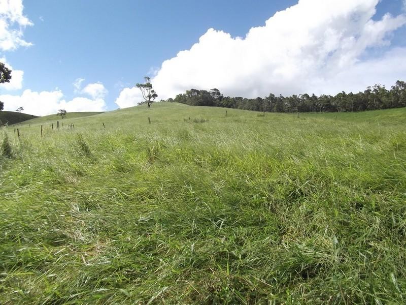 Upper Barron QLD 4883