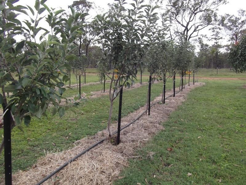 Mount Garnet QLD 4872