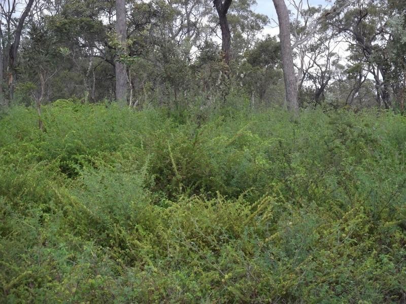 Mount Garnet QLD 4872