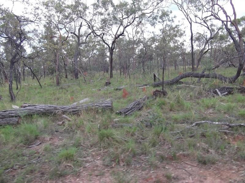 Mount Garnet QLD 4872