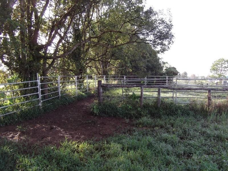 Mount Garnet QLD 4872