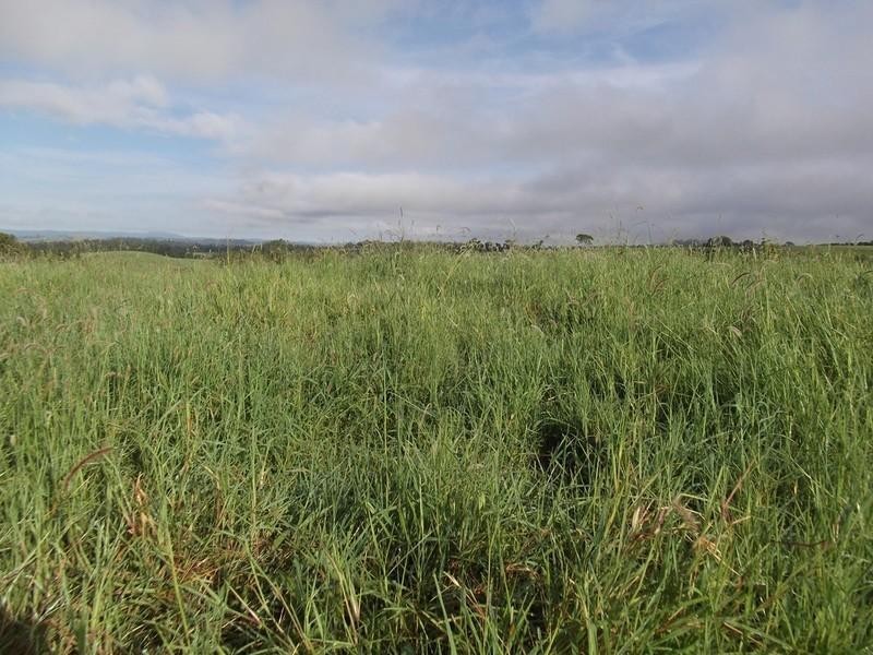 Mount Garnet QLD 4872