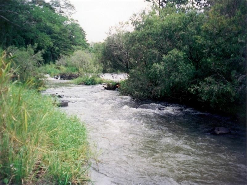 123 Pinnacle Pocket Road, Yungaburra QLD 4884