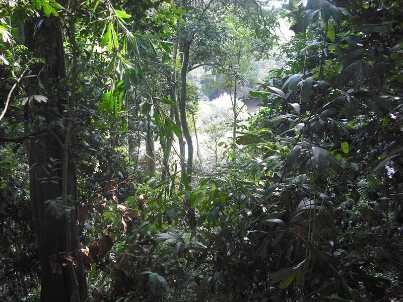 123 Pinnacle Pocket Road, Yungaburra QLD 4884