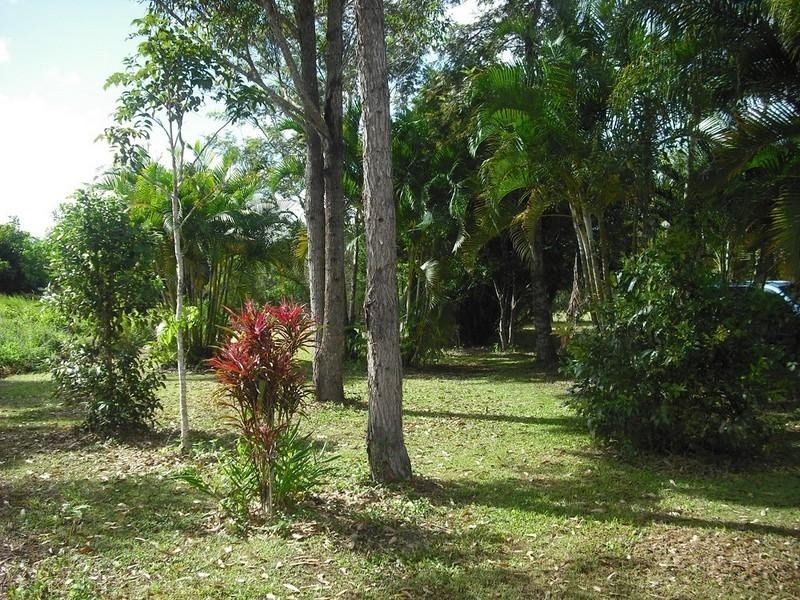 123 Pinnacle Pocket Road, Yungaburra QLD 4884