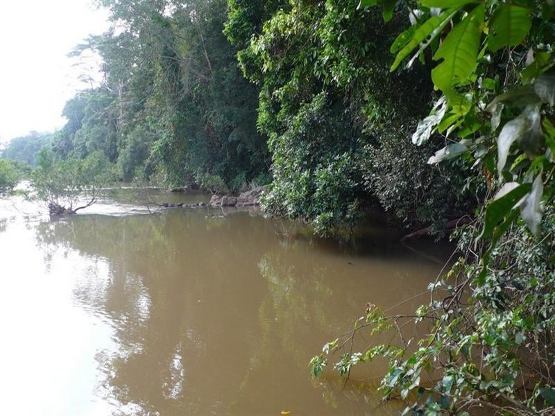 123 Pinnacle Pocket Road, Yungaburra QLD 4884