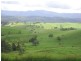 Yungaburra QLD 4884