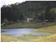 Tarzali QLD 4885