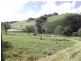Tarzali QLD 4885