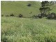 Tarzali QLD 4885