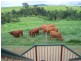 Yungaburra QLD 4884
