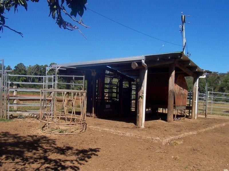Yungaburra QLD 4884
