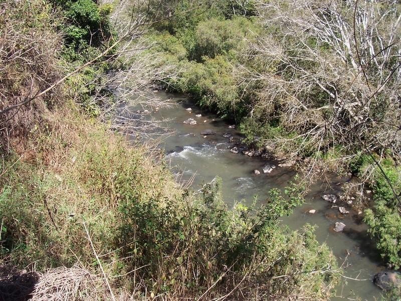 Yungaburra QLD 4884