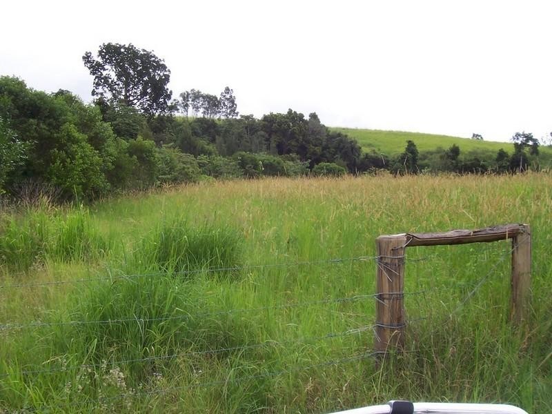 Yungaburra QLD 4884