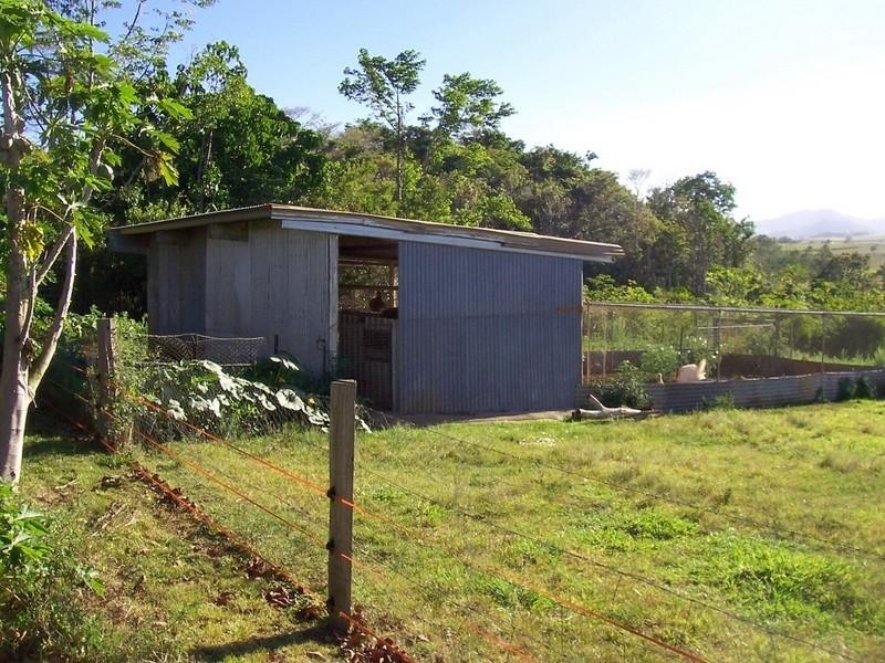 Yungaburra QLD 4884