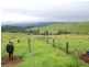 Millaa Millaa QLD 4886