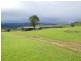 Millaa Millaa QLD 4886