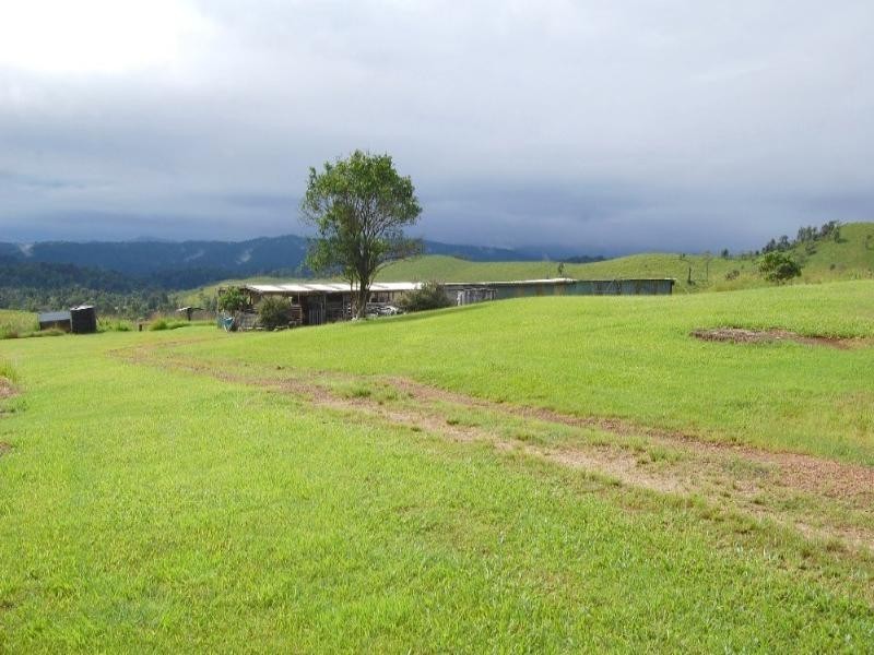 Millaa Millaa QLD 4886