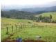 Millaa Millaa QLD 4886