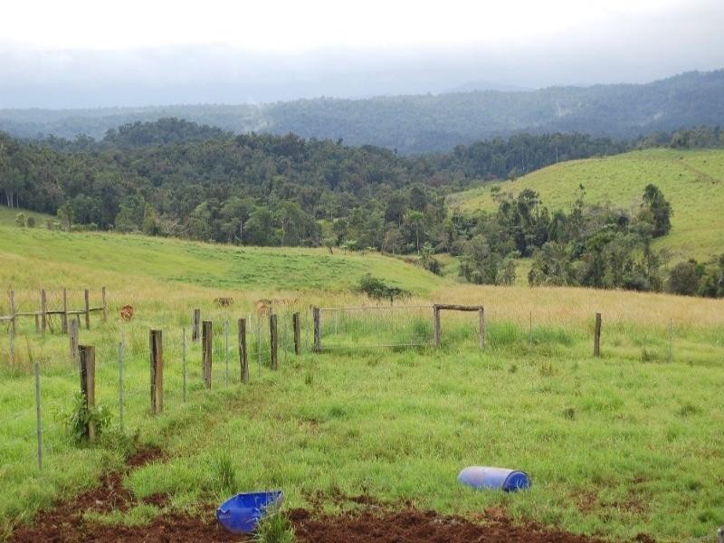 Millaa Millaa QLD 4886