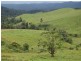 Millaa Millaa QLD 4886