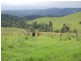 Millaa Millaa QLD 4886