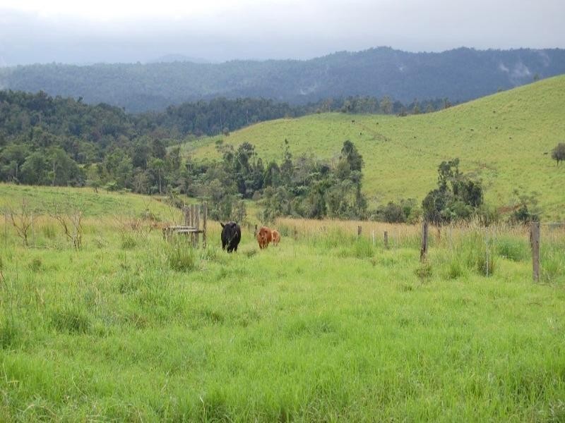 Millaa Millaa QLD 4886