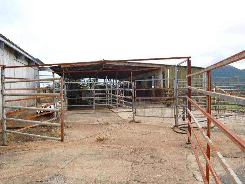 Millaa Millaa QLD 4886