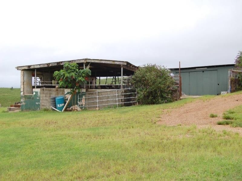 Millaa Millaa QLD 4886