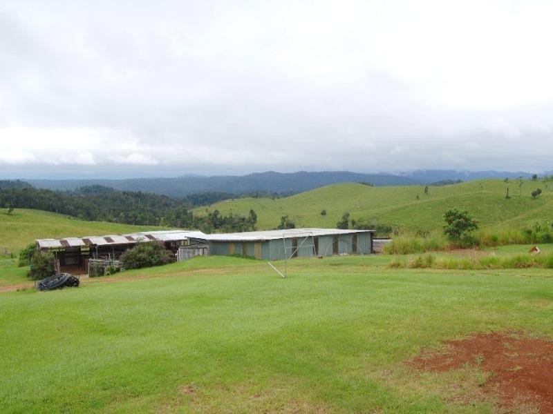 Millaa Millaa QLD 4886