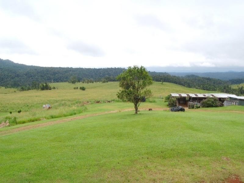 Millaa Millaa QLD 4886