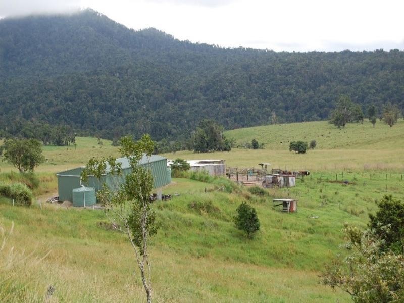 Millaa Millaa QLD 4886