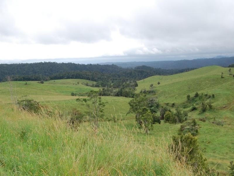 Millaa Millaa QLD 4886