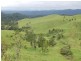 Millaa Millaa QLD 4886