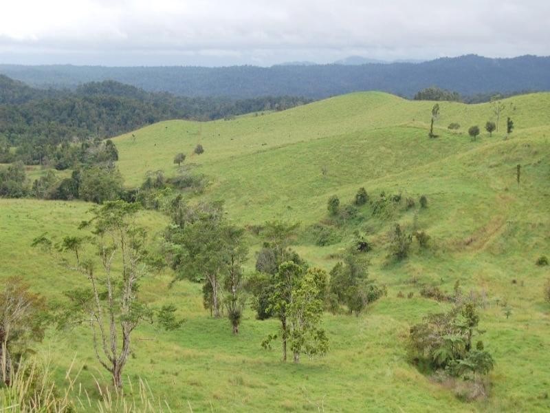 Millaa Millaa QLD 4886