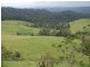 Millaa Millaa QLD 4886