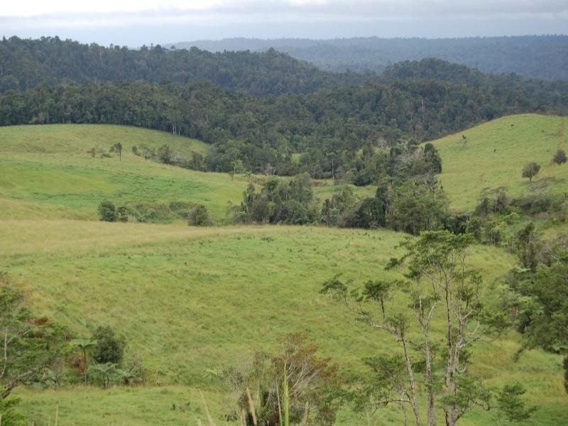 Millaa Millaa QLD 4886