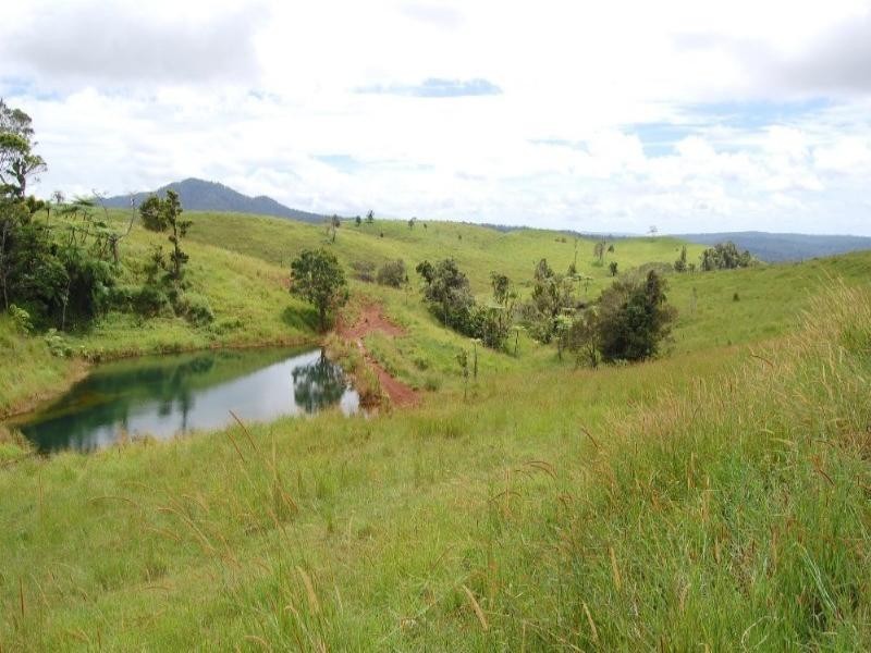 Millaa Millaa QLD 4886