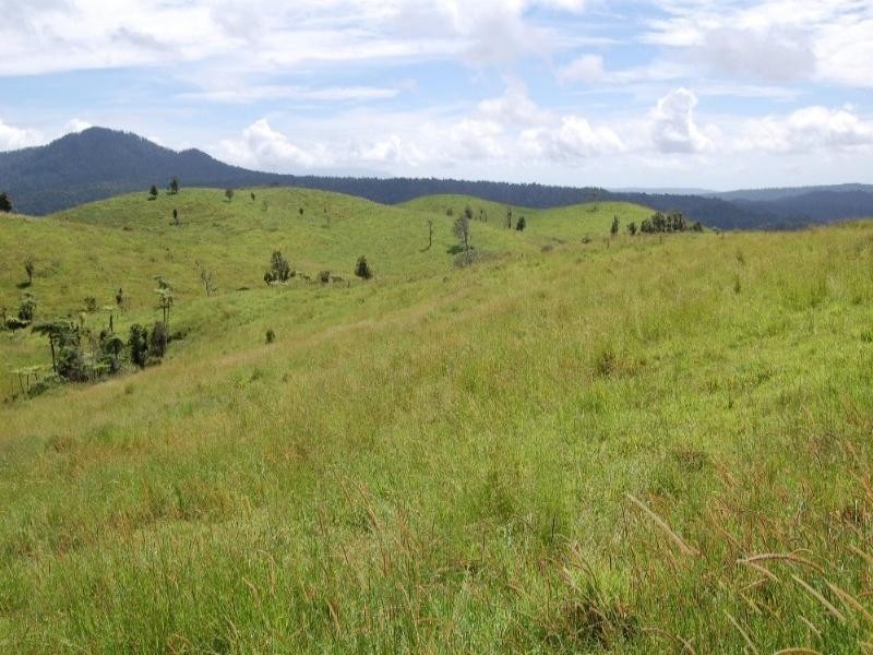 Millaa Millaa QLD 4886